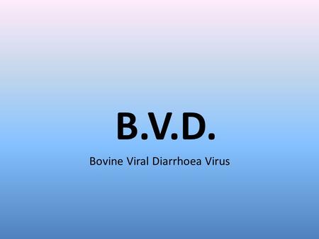 B.V.D. Bovine Viral Diarrhoea Virus. BVD Highly contagious viral infection Most infections have no clinical signs Sero-conversion, virus elimination and.
