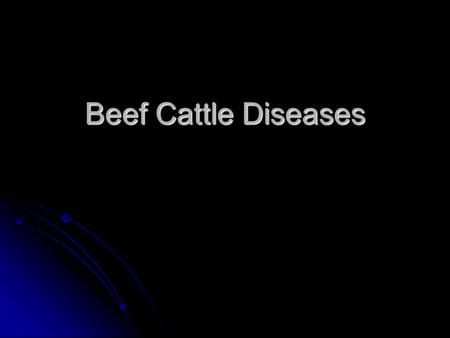 Beef Cattle Diseases. Anthrax Spores stay in the ground Spores stay in the ground No treatment No treatment Vaccinate against Vaccinate against.