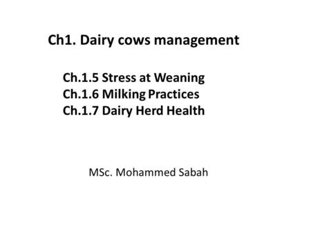 Ch.1.5 Stress at Weaning Ch.1.6 Milking Practices Ch.1.7 Dairy Herd Health MSc. Mohammed Sabah Ch1. Dairy cows management.