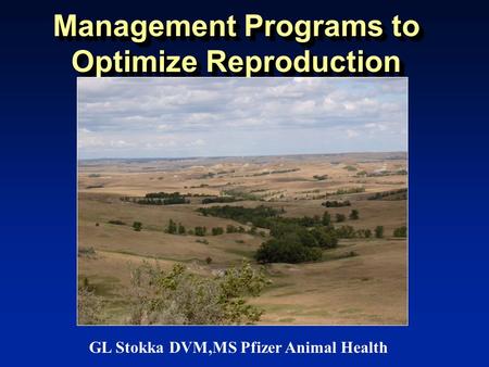 Management Programs to Optimize Reproduction GL Stokka DVM,MS Pfizer Animal Health.