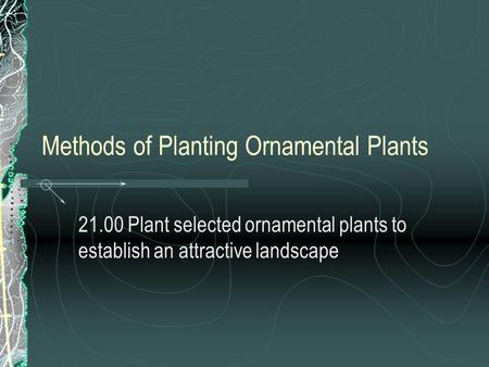 Methods of Planting Ornamental Plants