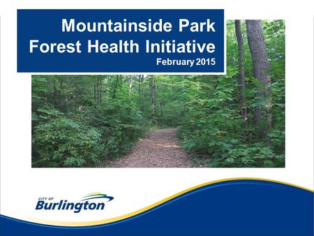 Mountainside Park Forest Health Initiative February 2015.