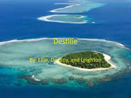 Destllie By: Ellie, Destiny, and Leighton. Key river- for drinking water Hospital- in case people get sick Tree-forest where wild life is and a food.