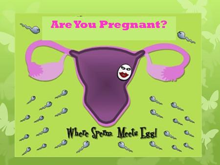 Are You Pregnant? Prenatal Development Fertilization: Union of a sperm cell w/ an ovum. ~Fertilization takes place in the upper 1/3 of the fallopian.