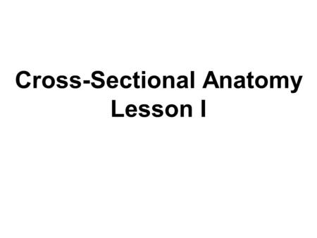 Cross-Sectional Anatomy Lesson I