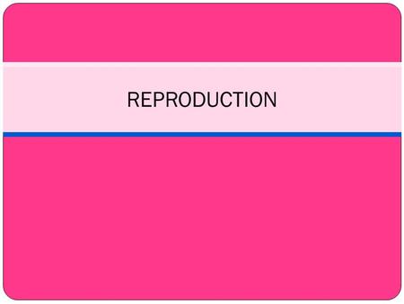 REPRODUCTION.