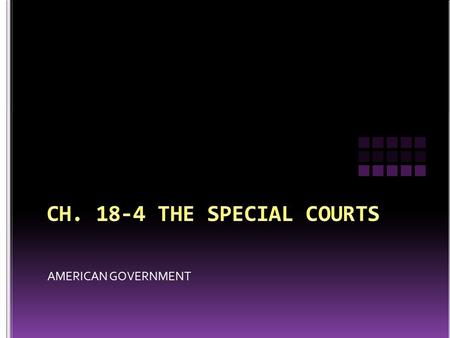 AMERICAN GOVERNMENT. The federal court system is made up of two quite distinct types of courts 1) constitutional, or regular courts 2) special courts.