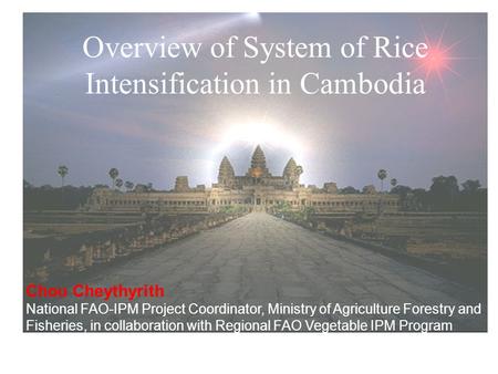 Overview of System of Rice Intensification in Cambodia Chou Cheythyrith National FAO-IPM Project Coordinator, Ministry of Agriculture Forestry and Fisheries,
