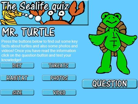 Press the buttons below to find out some key facts about turtles and also some photos and videos! Once you have read the information click on the question.