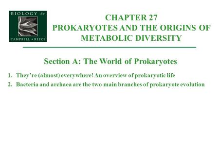 CHAPTER 27 PROKARYOTES AND THE ORIGINS OF METABOLIC DIVERSITY