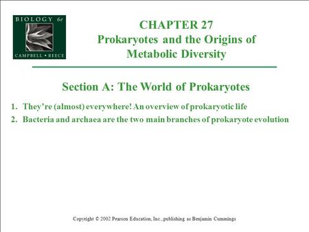 CHAPTER 27 Prokaryotes and the Origins of Metabolic Diversity Copyright © 2002 Pearson Education, Inc., publishing as Benjamin Cummings Section A: The.