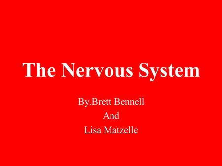 The Nervous System By.Brett Bennell And Lisa Matzelle.