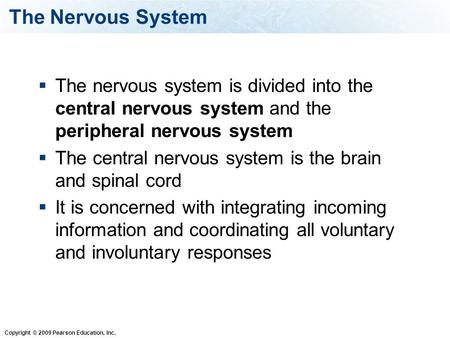 Copyright © 2009 Pearson Education, Inc. The Nervous System  The nervous system is divided into the central nervous system and the peripheral nervous.