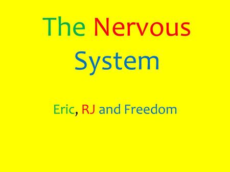 The Nervous System Eric, RJ and Freedom. Table of Contents 1.The role the Nervous System plays in the human body 2.The major organs of the Nervous System.