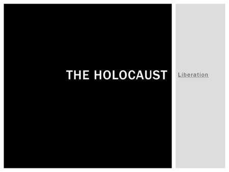 The Holocaust Liberation.