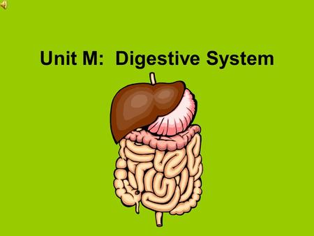 Unit M: Digestive System