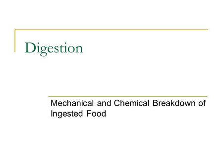 Digestion Mechanical and Chemical Breakdown of Ingested Food.