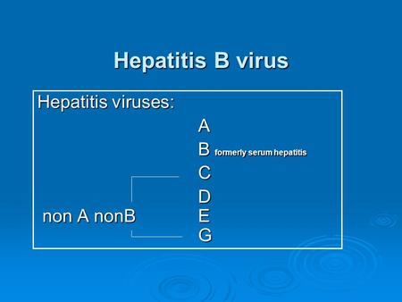 Hepatitis B virus Hepatitis viruses: A B formerly serum hepatitis C D non A nonB E G.