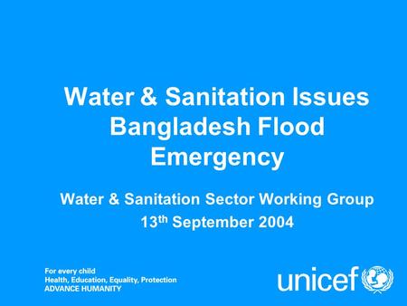Water & Sanitation Issues Bangladesh Flood Emergency Water & Sanitation Sector Working Group 13 th September 2004.