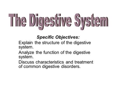 The Digestive System Specific Objectives: