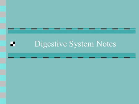 Digestive System Notes. Mouth Carbohydrate digestion begins here! Ingestion = eating.
