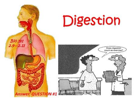 Digestion Bio 391 2.9 – 2.11 Answer: QUESTION #1.
