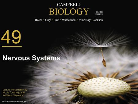 49 Nervous Systems Lecture Presentation by Nicole Tunbridge and