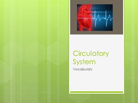 Circulatory System Vocabulary.