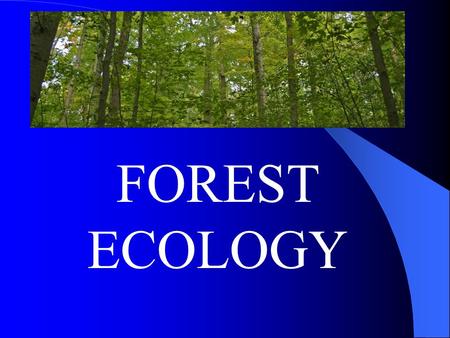 FOREST ECOLOGY. DELAWARE HAS 355,00 ACRES OF FORESTED LAND! Approx. 5,000 acres of timber are harvested annually. Delaware’s forest products industries.