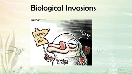 Biological Invasions. What they are? Why study // be concerned? Significant ecological and economic impacts Numbers are many and are increasing Outline.