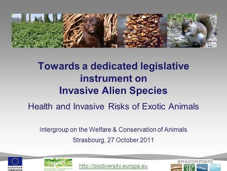 Towards a dedicated legislative instrument on Invasive Alien Species Health and Invasive Risks of Exotic Animals Intergroup.