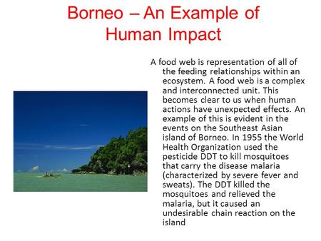 Borneo – An Example of Human Impact