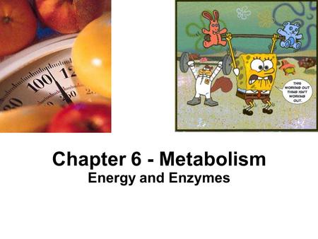 Chapter 6 - Metabolism Energy and Enzymes.