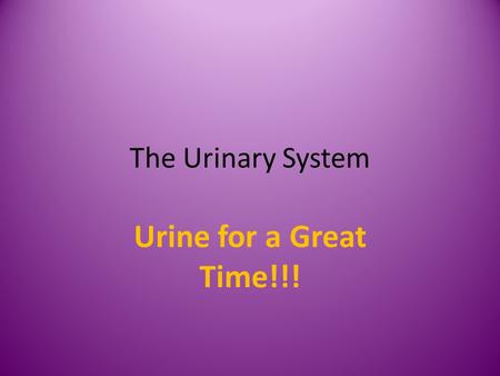 The Urinary System Urine for a Great Time!!!. Function of the Kidneys Removes salts and nitrogenous wastes Maintains normal concentration of water and.