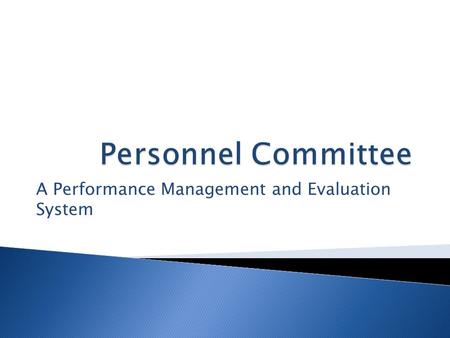 A Performance Management and Evaluation System.  Compliance with BHECM Guidance  Identification of “Best Practice Standards”  A Job Description Review.