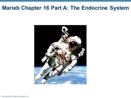 Copyright © 2010 Pearson Education, Inc. Marieb Chapter 16 Part A: The Endocrine System.