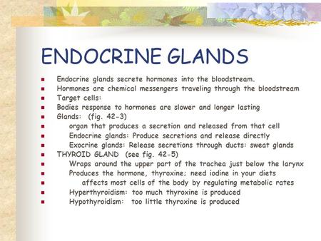ENDOCRINE GLANDS Endocrine glands secrete hormones into the bloodstream. Hormones are chemical messengers traveling through the bloodstream Target cells: