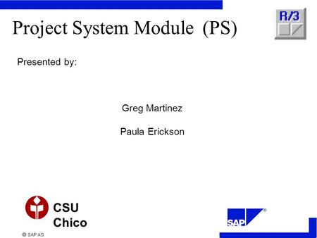 Project System Module (PS)