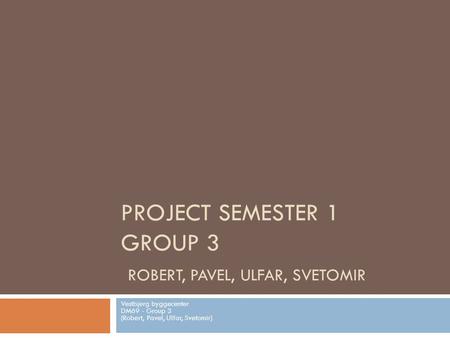 Project Semester 1 Group 3 Robert, Pavel, Ulfar, Svetomir