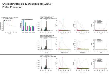 Challenging sample due to subclonal SCNAs – Prefer 1 st solution.