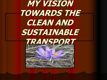 MY VISION TOWARDS THE CLEAN AND SUSTAINABLE TRANSPORT.