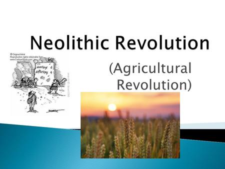 (Agricultural Revolution). © CSCOPE 2008 Geographic factors that allow advances in agriculture create a stable food supply which permits the development.