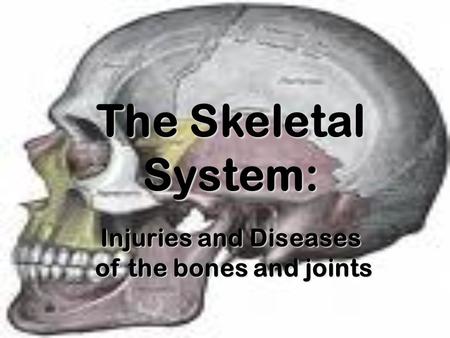 The Skeletal System: Injuries and Diseases of the bones and joints of the bones and joints.