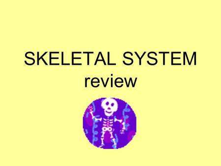 SKELETAL SYSTEM review