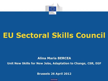 EU Sectoral Skills Council