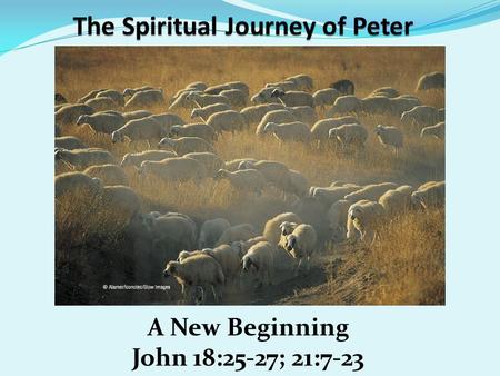 A New Beginning John 18:25-27; 21:7-23. SundayTeacher.com Lesson Password: Journey Illustrated Bible Life Password: Fishing.