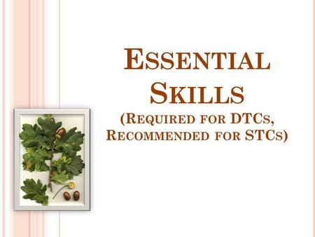 E SSENTIAL S KILLS (R EQUIRED FOR DTC S, R ECOMMENDED FOR STC S )
