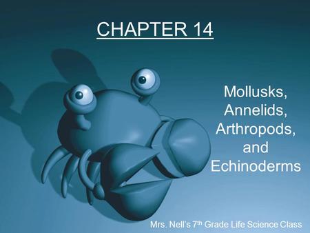 CHAPTER 14 Mollusks, Annelids, Arthropods, and Echinoderms