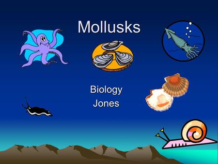 Mollusks Biology Jones.