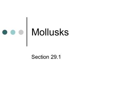Mollusks Section 29.1. Soft-bodied Animals Snails, slugs, oysters, clams, scallops, octopuses, squid A larval stage called a trochophore Second largest.